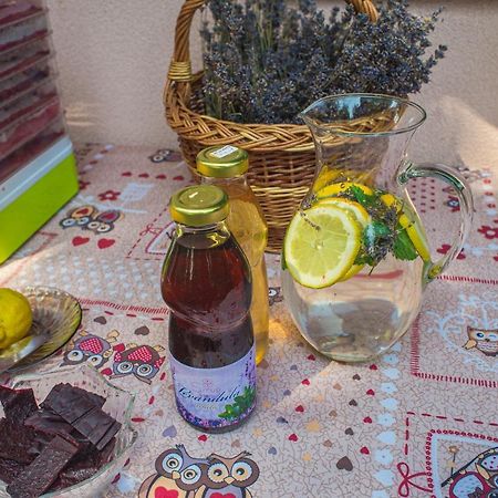 Bungalovy Natura Travnica Luaran gambar