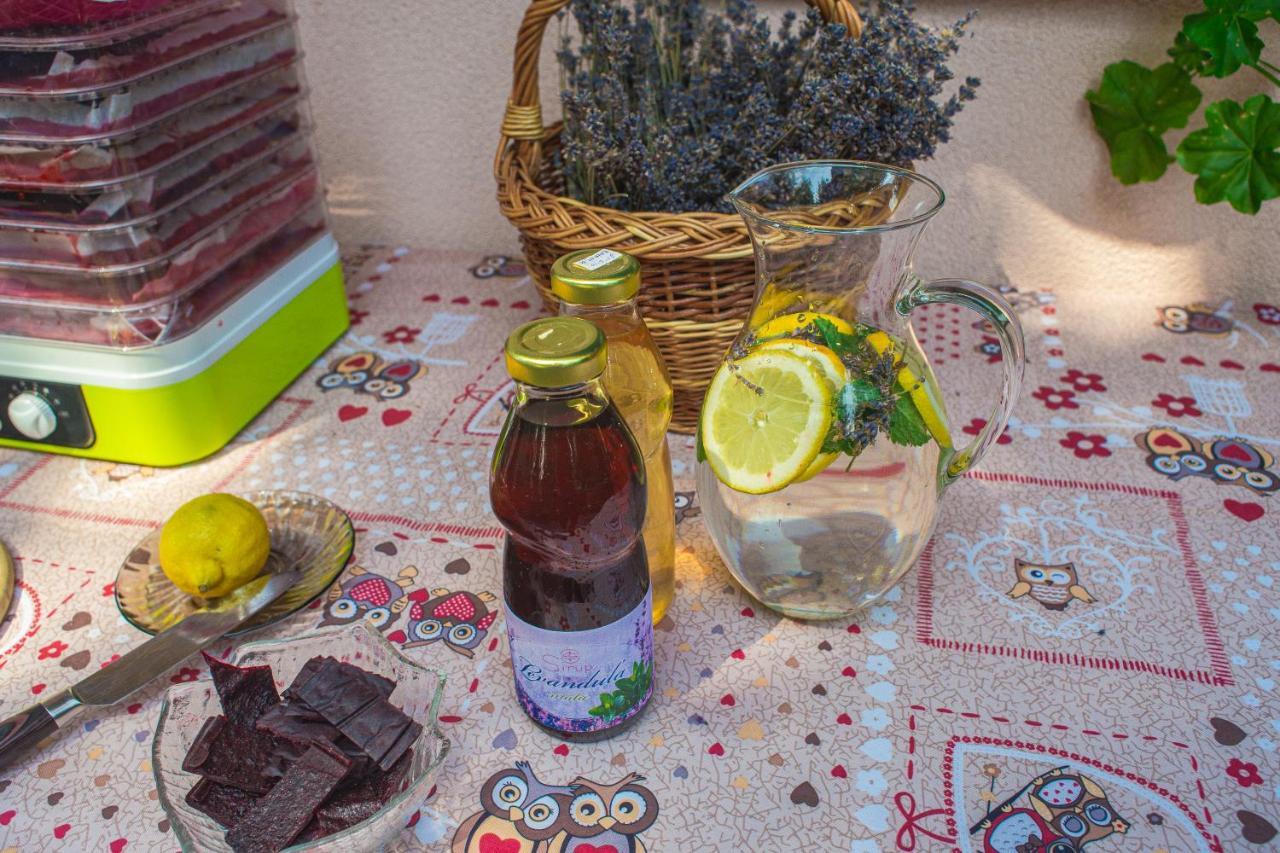 Bungalovy Natura Travnica Luaran gambar